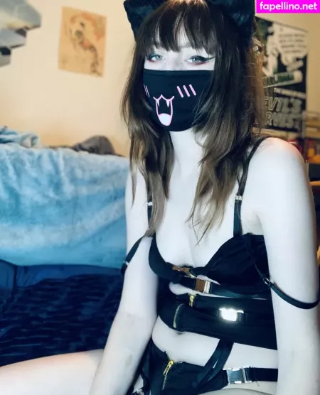 Tinykittie photo