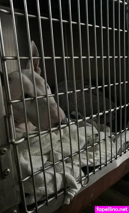 Tinypeach2021 OnlyFans Thumbnail #JJay4BpWuV