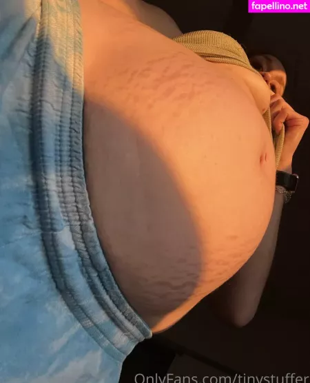 Tinystuffer OnlyFans Thumbnail #2N1crmzSlq