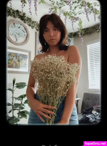 Tinytaco Main Profile Photo