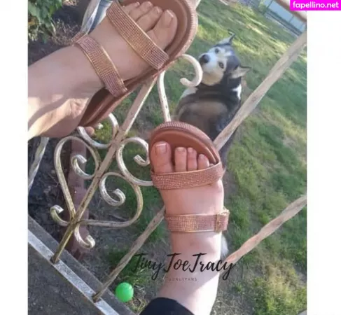 Tinytoetracy OnlyFans Thumbnail #9um24ETrpl