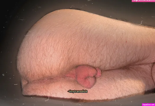 Tinytransdick OnlyFans Thumbnail #BGrY1PRJ5t