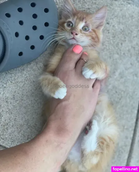 Tiptoengoddess OnlyFans Thumbnail #Dqki98d5QC