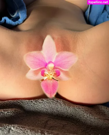 Tomikoari Free OnlyFans Thumbnail #QtoUs8m70S