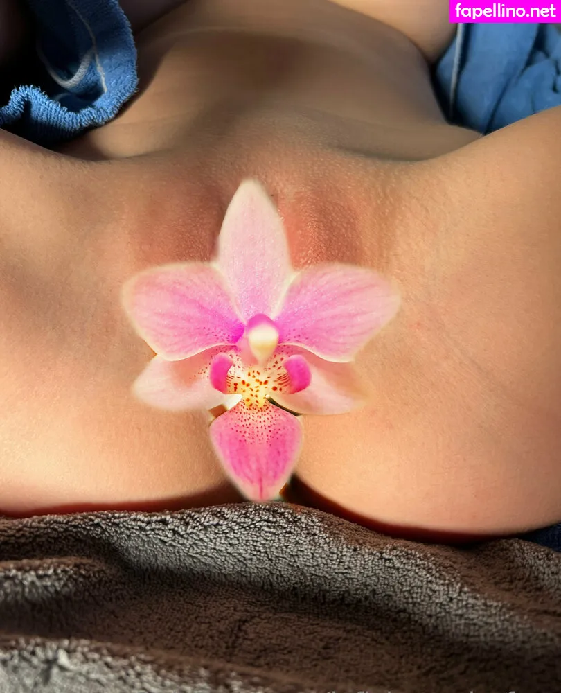 bmore_kk, tomikoari_free Nude Leaked OnlyFans Photo #QtoUs8m70S