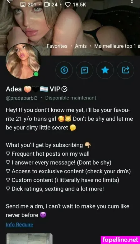 Tommydmtrk Main Profile Photo