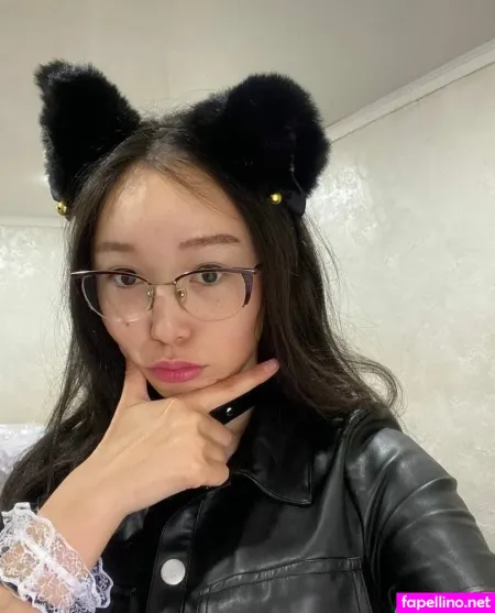 Tortoize Main Profile Photo