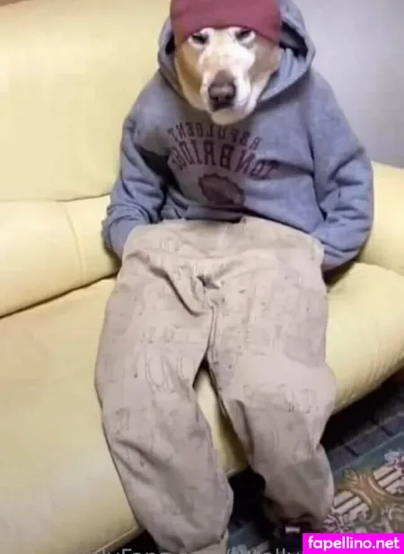 Totallynotstalin Main Profile Photo