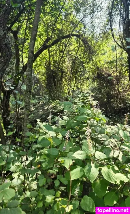 Tourwithava OnlyFans Thumbnail #bkS73oRRFT