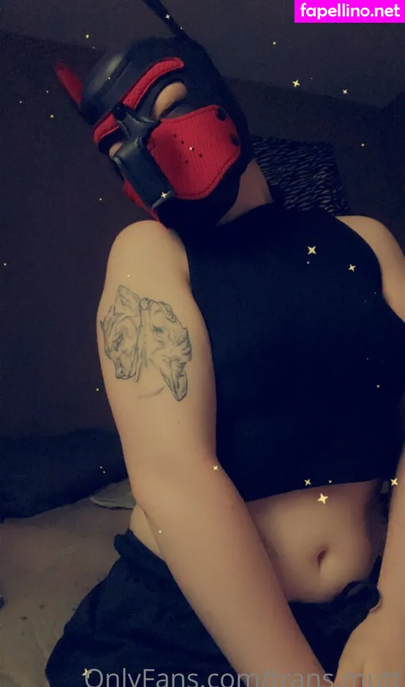 shark.mutt, trans.mutt Nude Leaked OnlyFans Photo #7udYkM3EwR