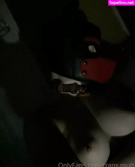 Trans Mutt OnlyFans Thumbnail #xrtA9Dgth2