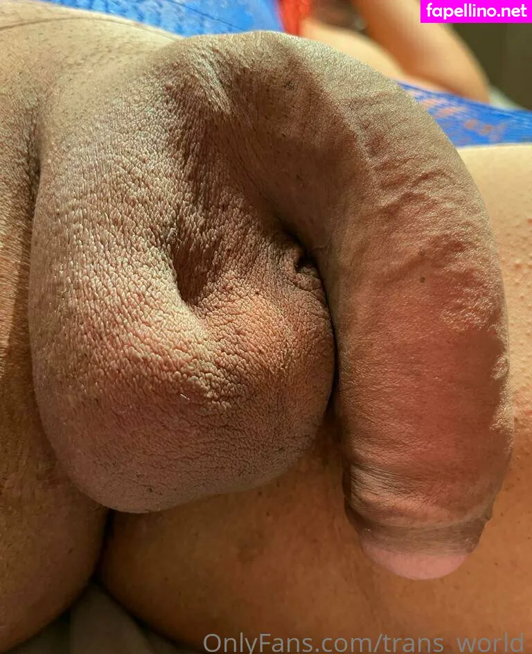 trans_world, transsworld Nude Leaked OnlyFans Photo #EDDMLnyAnK