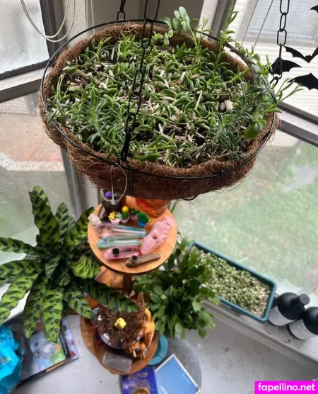 Trashdoll OnlyFans Thumbnail #U7kwMJZtKB