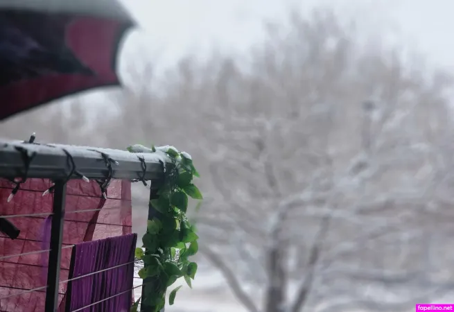 Trickynymph 1 OnlyFans Thumbnail #B3bhWs5PGg