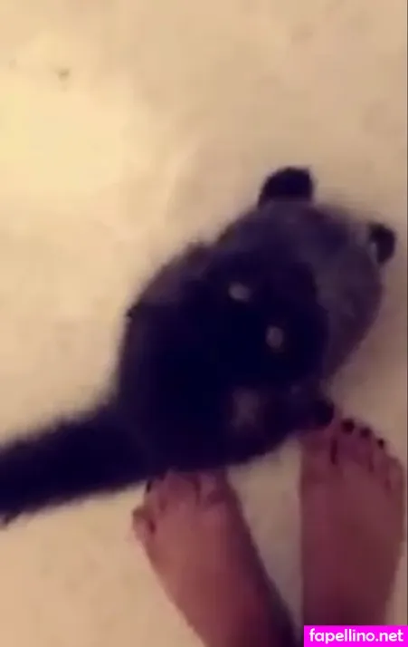 Trickywi OnlyFans Thumbnail #hIIyhgc8M0