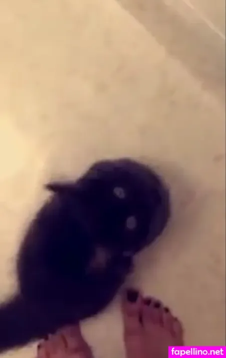 Trickywi OnlyFans Thumbnail #ueGIPdnvkA