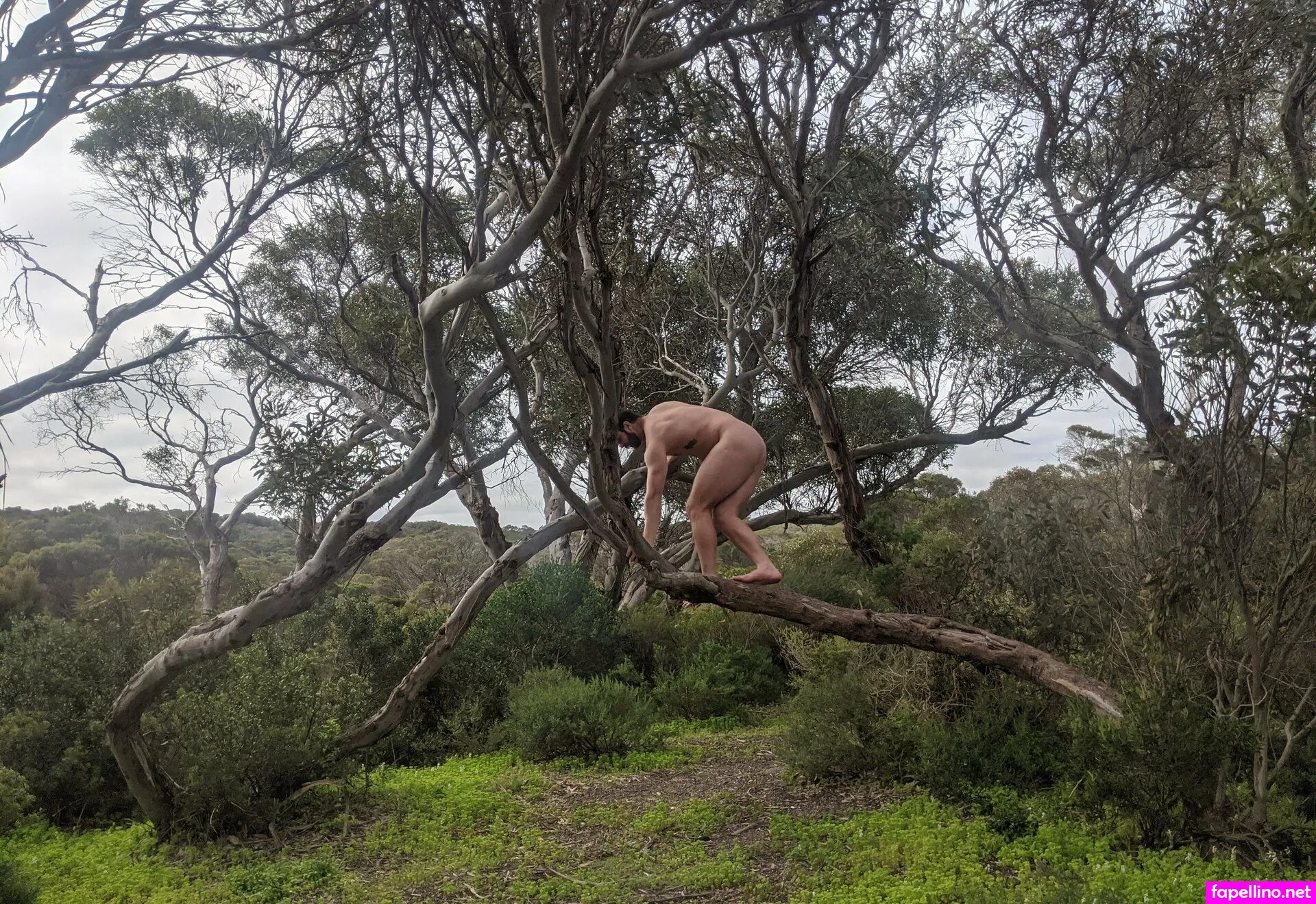 truebenmatthews, truebennett3 Nude Leaked OnlyFans Photo #9cI4uIu0MK