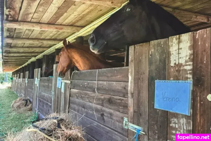 Truestellablue OnlyFans Thumbnail #K178lkeJti