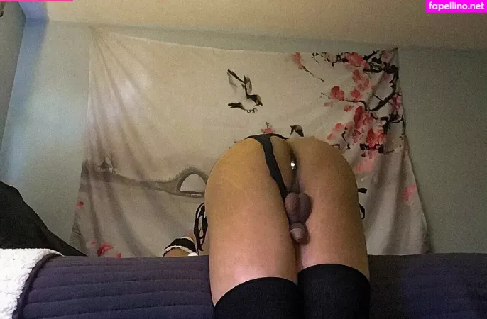 Trxpbbc OnlyFans Thumbnail #OTUyhhnN5Y