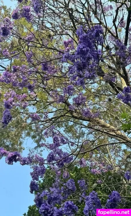 Ts Lexifairy OnlyFans Thumbnail #FlG9AYnjFS