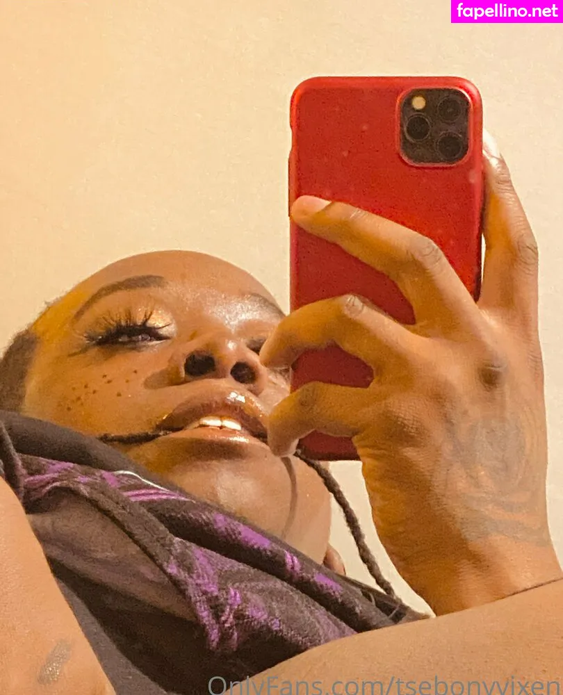 tsebonyvixen Nude Leaked OnlyFans Photo #P7hwAio8R1