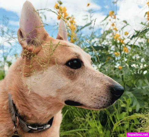 Ttwithmel OnlyFans Thumbnail #o5iujg52tF