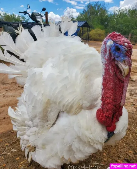 Twinkleskeleton OnlyFans Thumbnail #4YeDvyUBEL