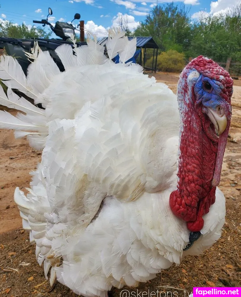 twinkleskeleton, twinkleskeletons Nude Leaked OnlyFans Photo #4YeDvyUBEL