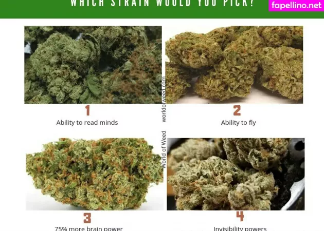 Twogirlsoneblunt OnlyFans Thumbnail #jrfN0IpoQv