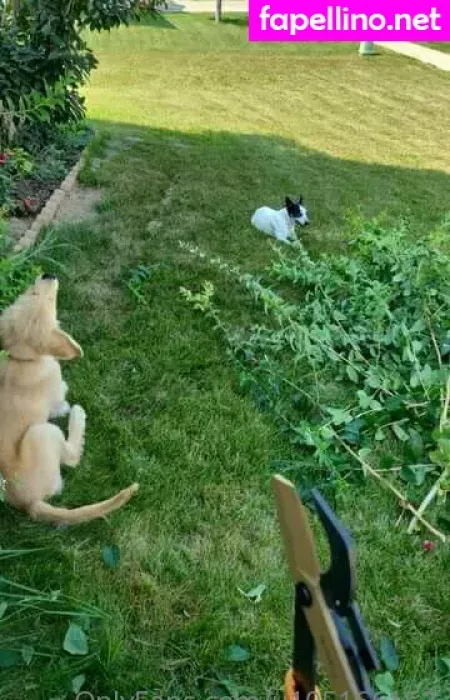 U105166152 OnlyFans Thumbnail #bkYmuk7mJF