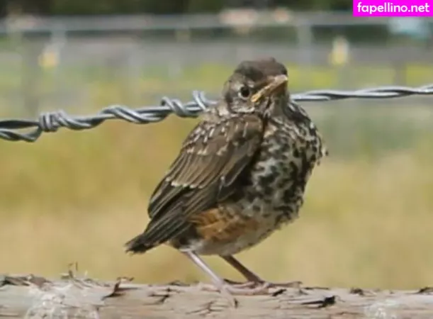 U128307005 OnlyFans Thumbnail #2kHTBhG44L