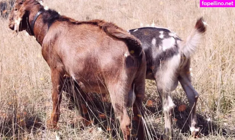 U128307005 OnlyFans Thumbnail #xKMLiuId1h