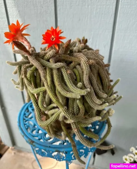 U132235113 OnlyFans Thumbnail #TQ22vMPaAc