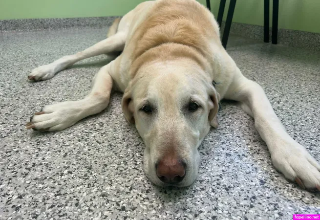 U189319479 Main Profile Photo