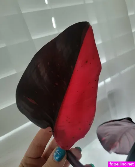 U213919435 OnlyFans Thumbnail #UD7dQfjpqD