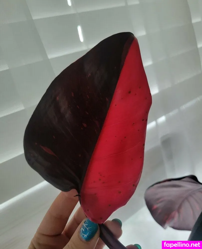 u213919435, whyruivo Nude Leaked OnlyFans Photo #UD7dQfjpqD