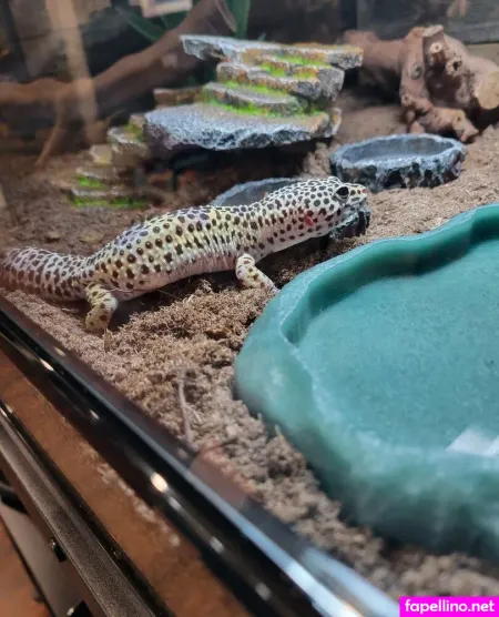 U213919435 OnlyFans Thumbnail #z02gJ5HVOd