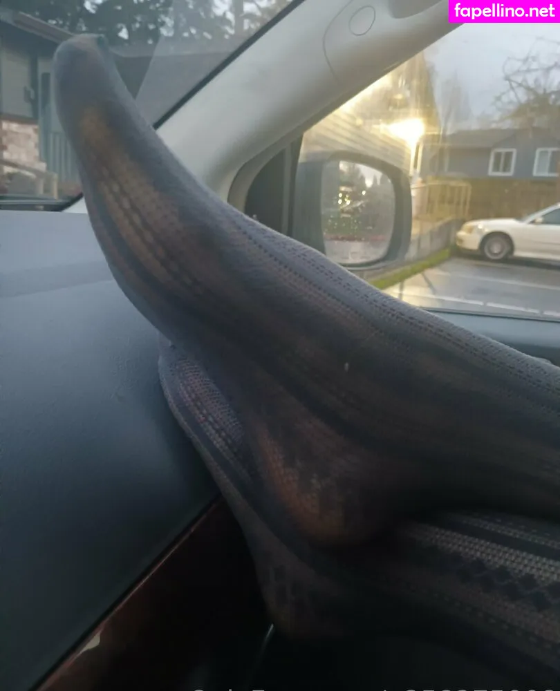 rea1since98_, u258275008 Nude Leaked OnlyFans Photo #2fppKsBCU6