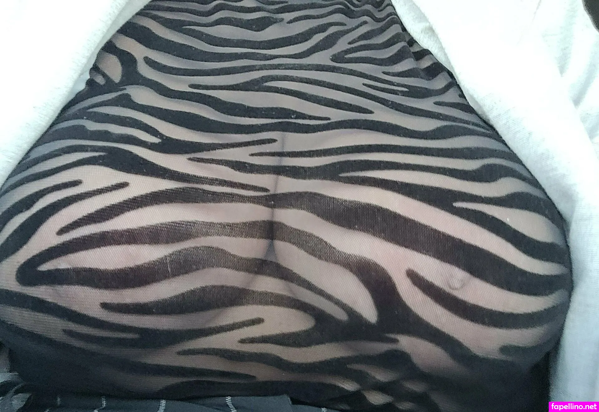 u283370449 Nude Leaked OnlyFans Photo #9ePDkqS458