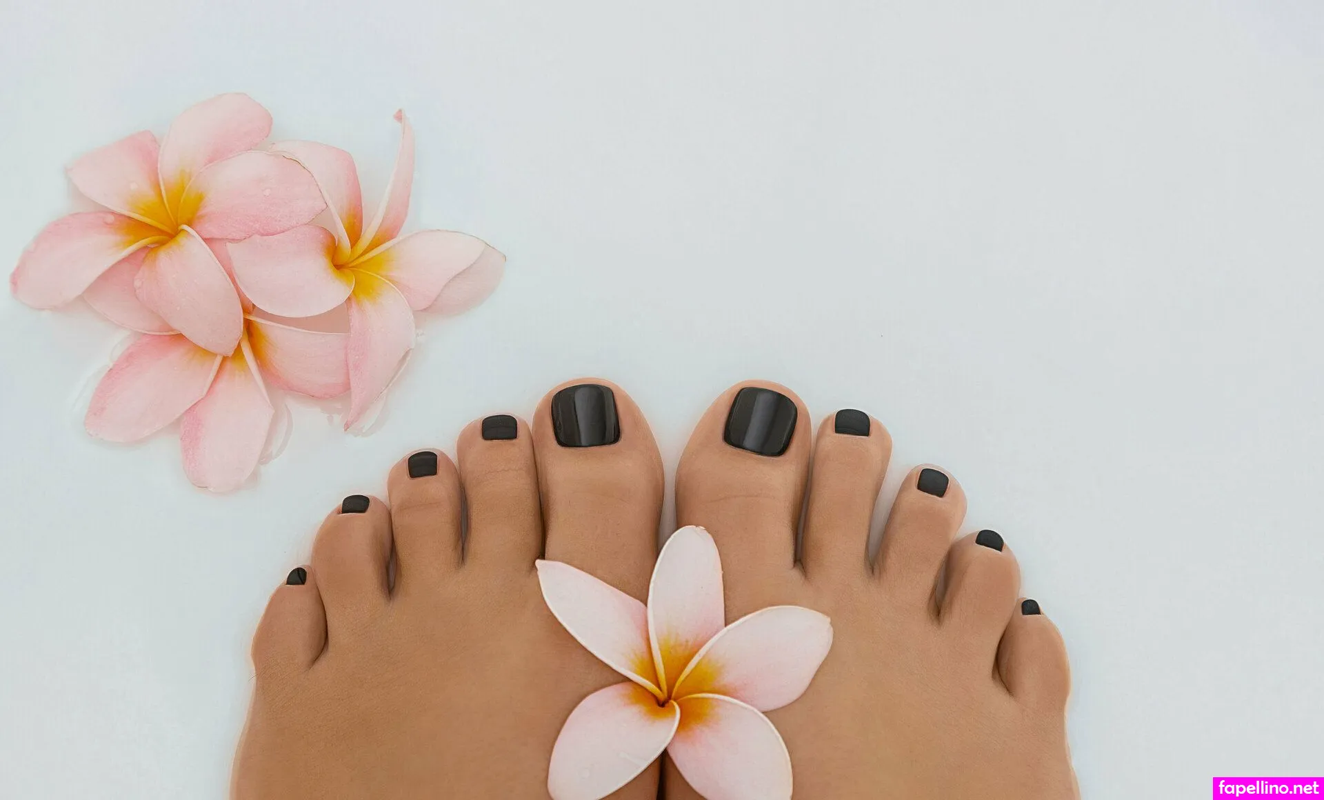 instagrambrose, u296956164 Nude Leaked OnlyFans Photo #pUIyGlmRRo