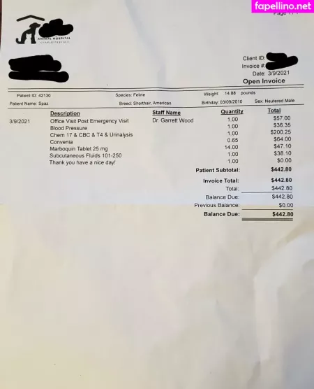 U63738547 OnlyFans Thumbnail #fuWTd7a7if