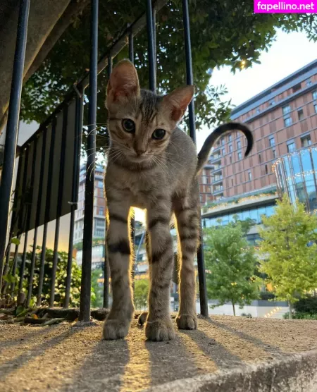 Umermaidskiss 2 OnlyFans Thumbnail #Ob3YLtpGYx