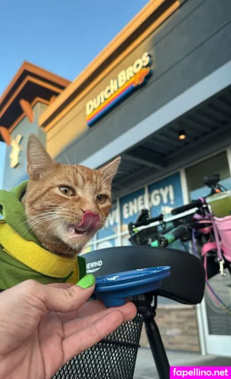 Uncut Emerald OnlyFans Thumbnail #SP53JMV8vt