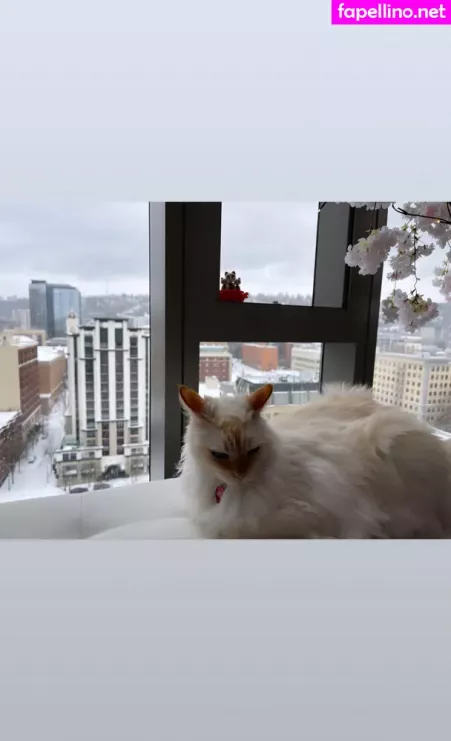 Undersiegexo OnlyFans Thumbnail #3O4YlXk2NZ