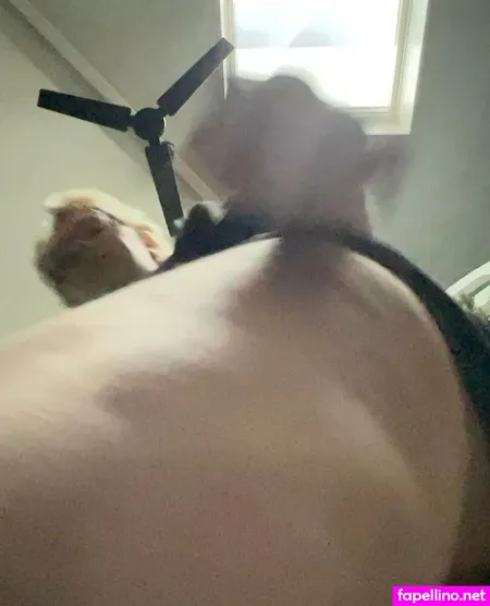 Unflattering191 OnlyFans Thumbnail #h95jImdJ3I