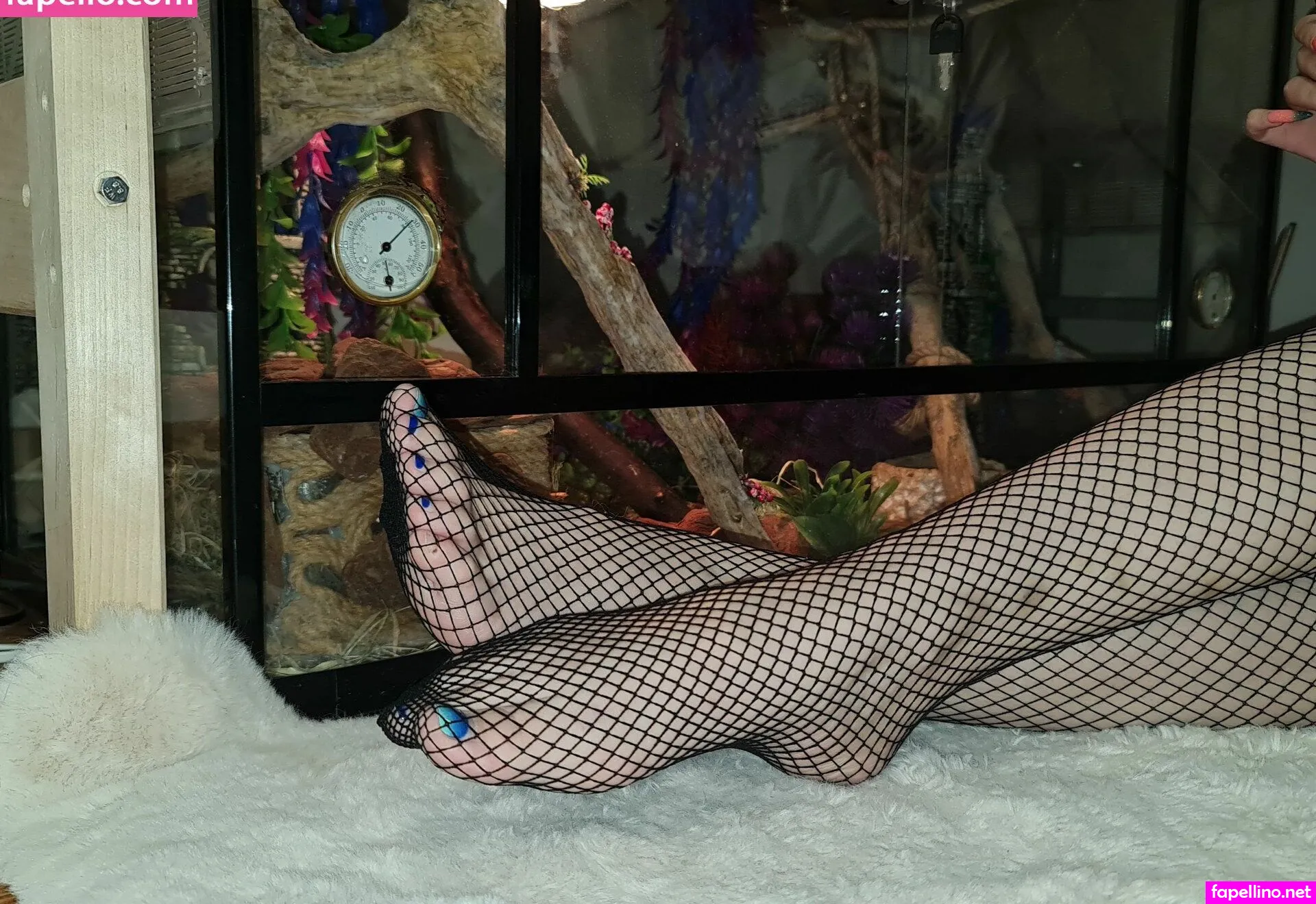 PinkGirlViki, PinkViki, strupedsofunicorns, unicornsfeet, victoriavikiv Nude Leaked OnlyFans Photo #1I9sUWBfIk