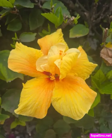 Uniquelyuri OnlyFans Thumbnail #QpGc0SkQoY