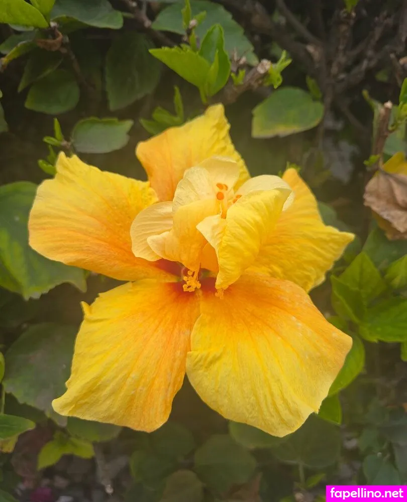 uniquelyuri Nude Leaked OnlyFans Photo #QpGc0SkQoY