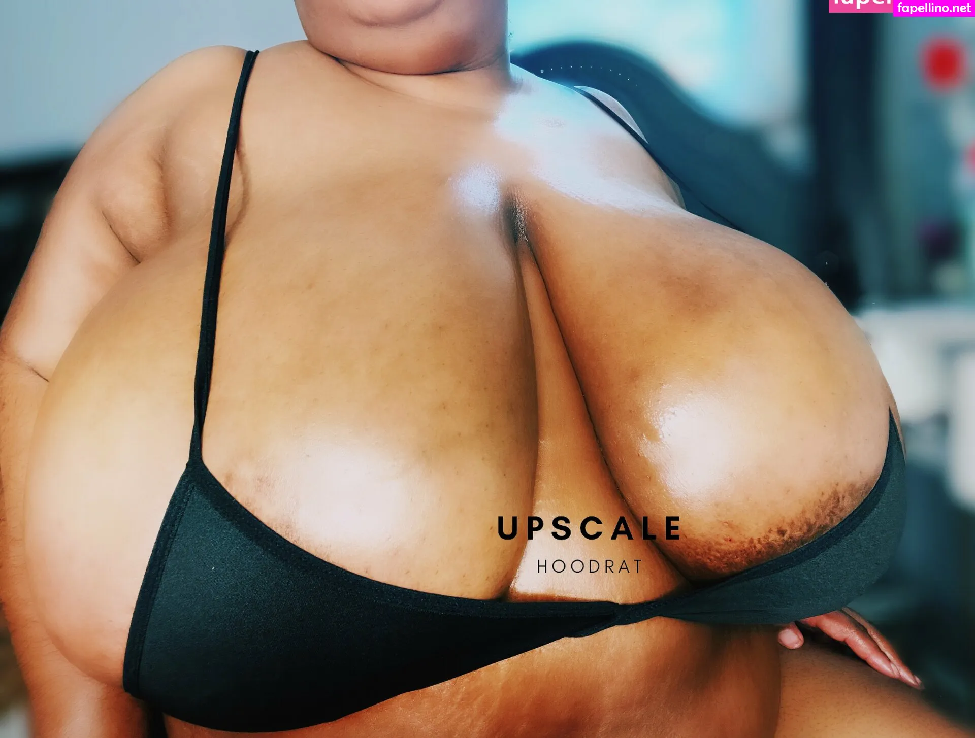 upscalehoodrat2 Nude Leaked OnlyFans Photo #4fnjJ7Wsf9