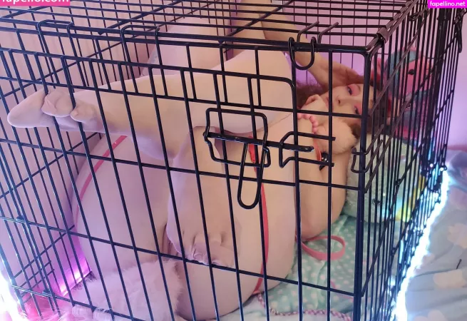 Urarakaochako OnlyFans Thumbnail #lvOsux5rXE